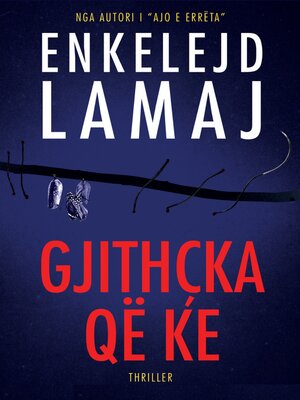 Gjithçka që ke - ebook
